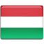 Flaga Forint węgierski